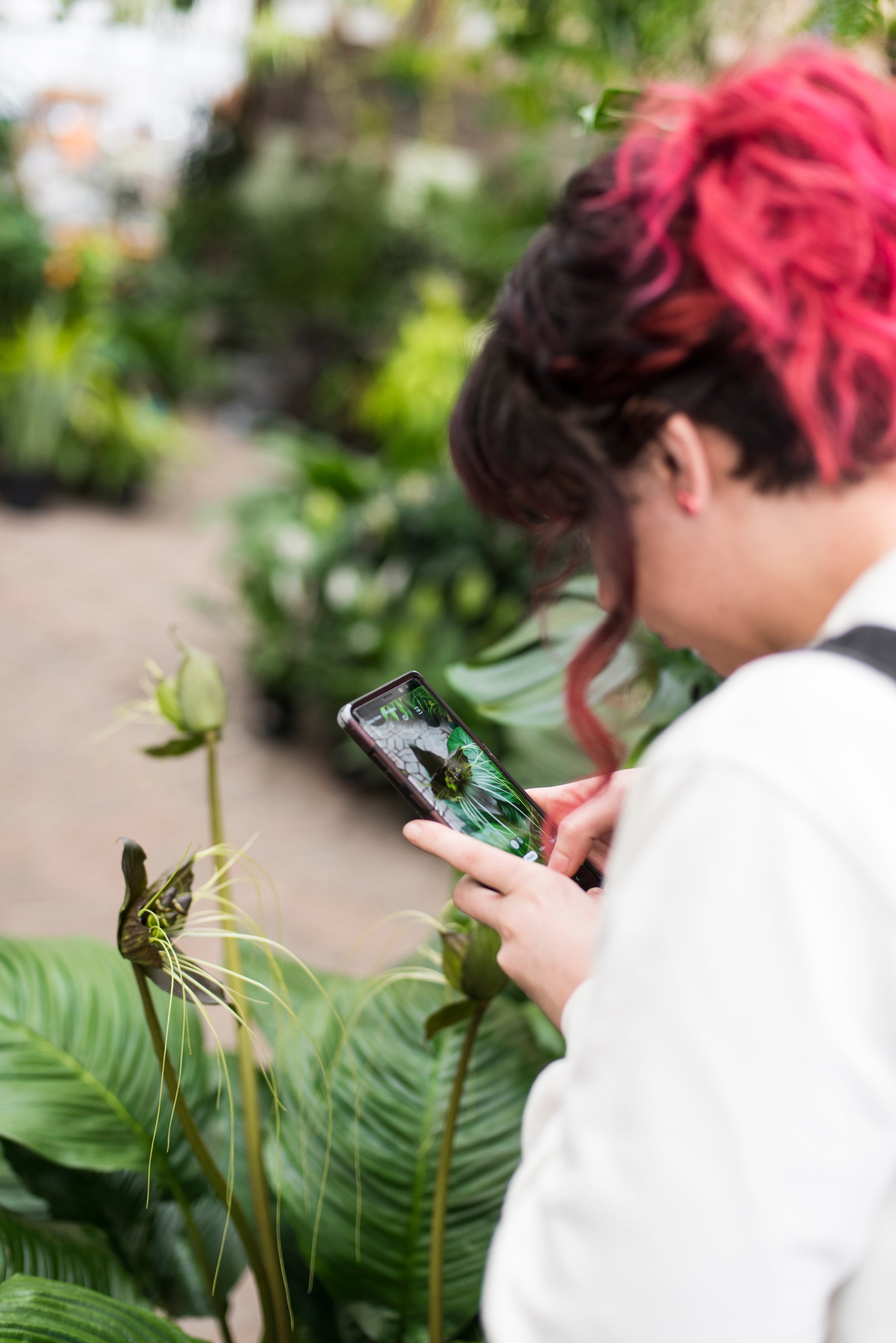 The Botanist Tending Her Botany