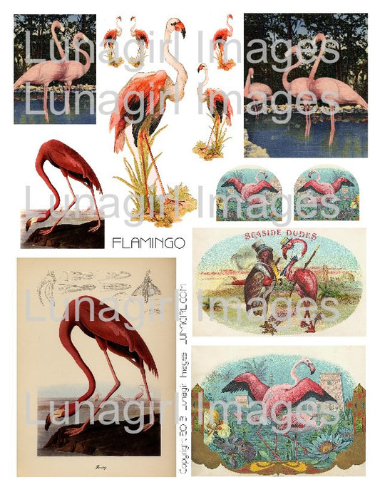 Vintage Postcards Digital Collage Sheet #2 Flutterbys – Lunagirl