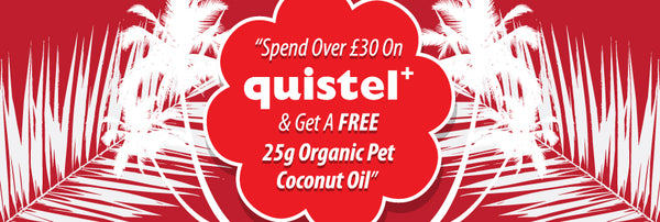 quistel, dog, pet, grooming, coconut oil, pet coconut oil, organic,