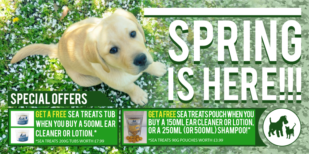 spring, quistel, dog grooming, special offer, sea treats