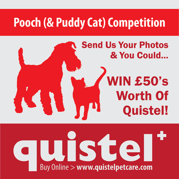 Quistel, Pooch & Puddy Cat, Competition, Dog, Cat