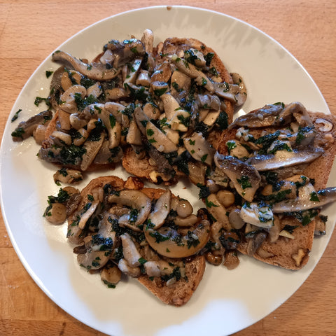 Toasts aux champignons