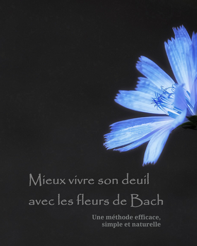 Atelier-vidéo Deuil et fleurs de Bach