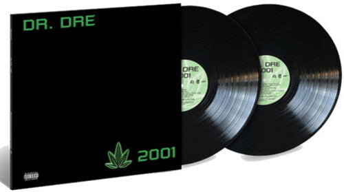 dr dre chronic album debut