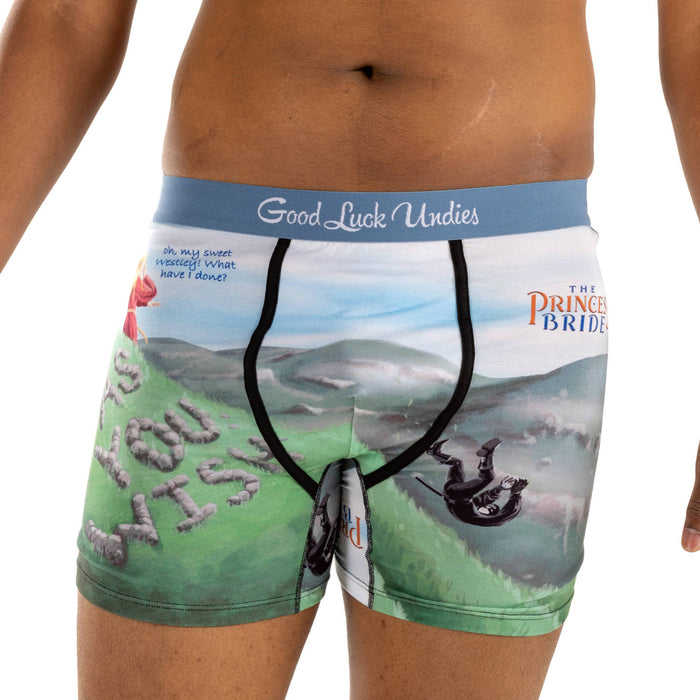 Men's Masters of the Universe, Furry Undies Underwear – Good Luck Sock