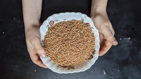 basic groat or whole grain wheat berry preparation image