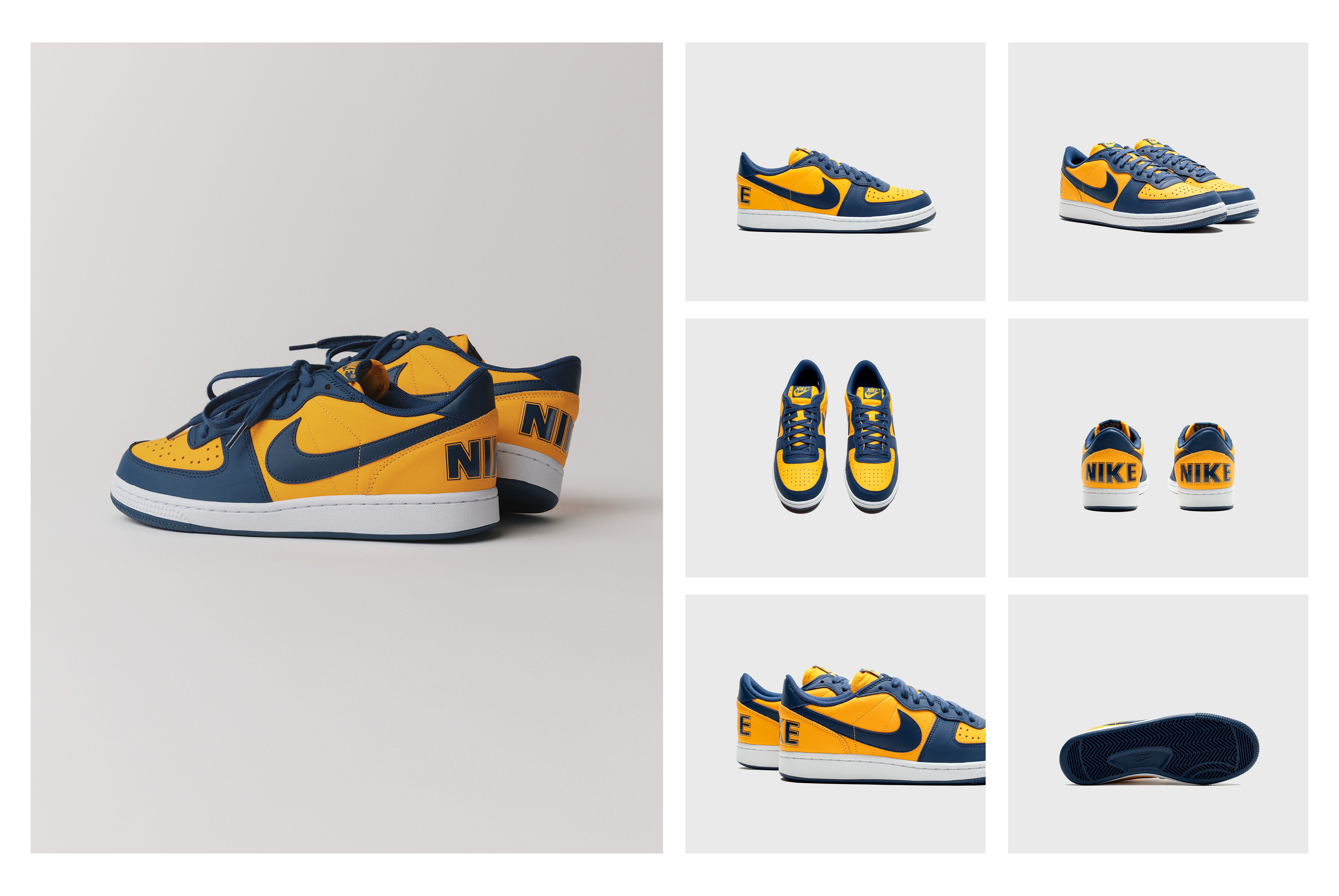 Nike Terminator Low  "Michigan