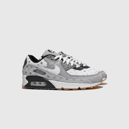 NIKEAIRMAX90NRG VENNDIAGRAM 3 450x450