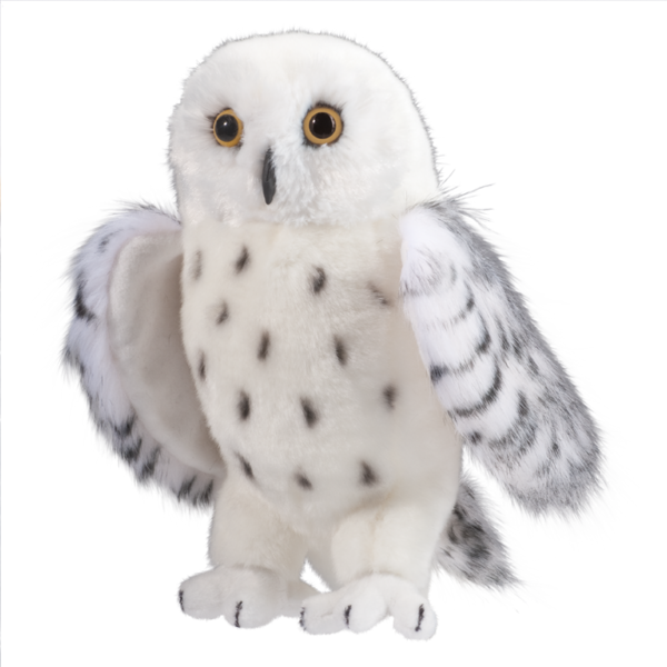 douglas snowy owl