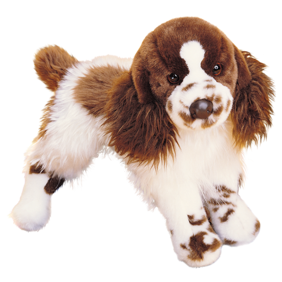 teddy springer spaniel