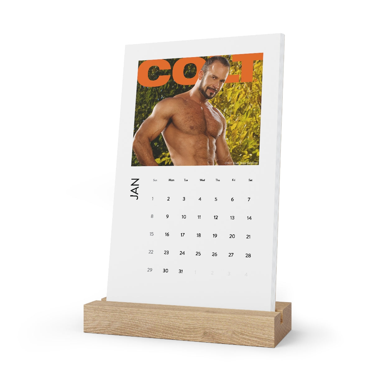 2023 COLT Icon Desktop Calendar CSG Store