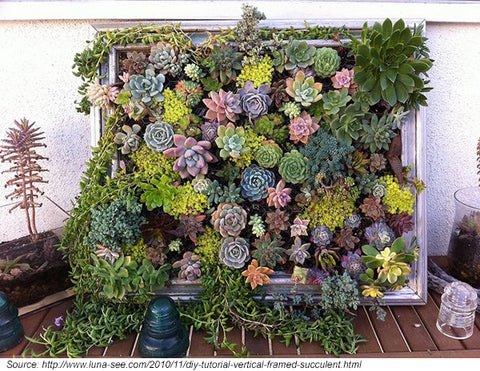 vertical garden idea 