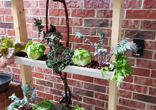 Home Made Hydroponics equipment 