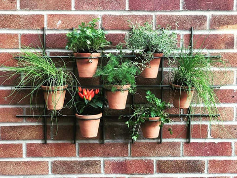 Wall Plant pot Feature for Space Saving