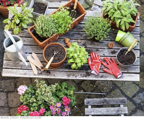 potting table in the garden
