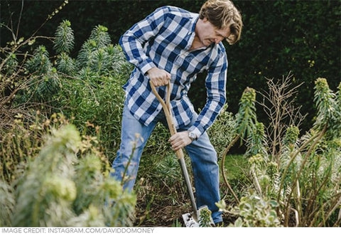 david domoney digging garden