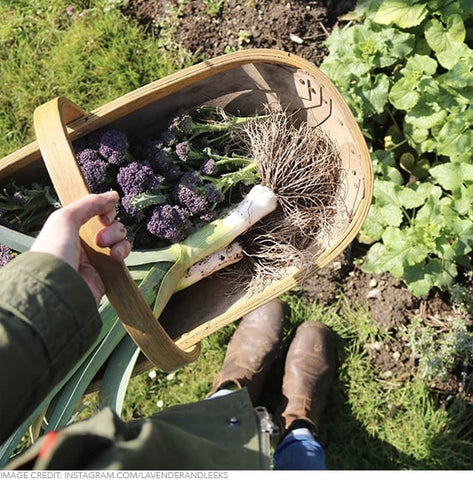 lavenderandleeks instagram healthy vegetables