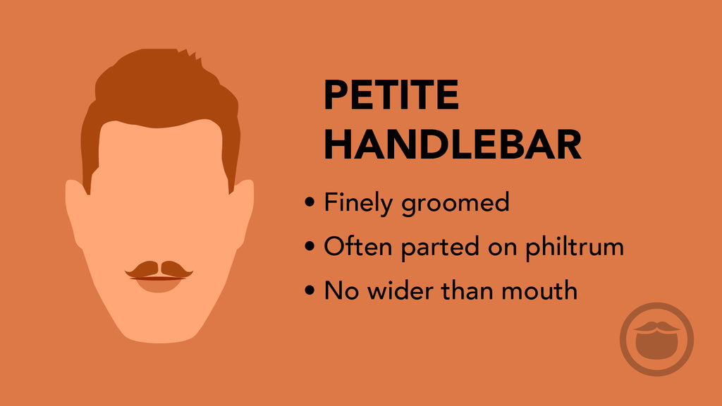 A colorful graphic of a petite handlebar mustache, and bullet point highlights of this mustache style.