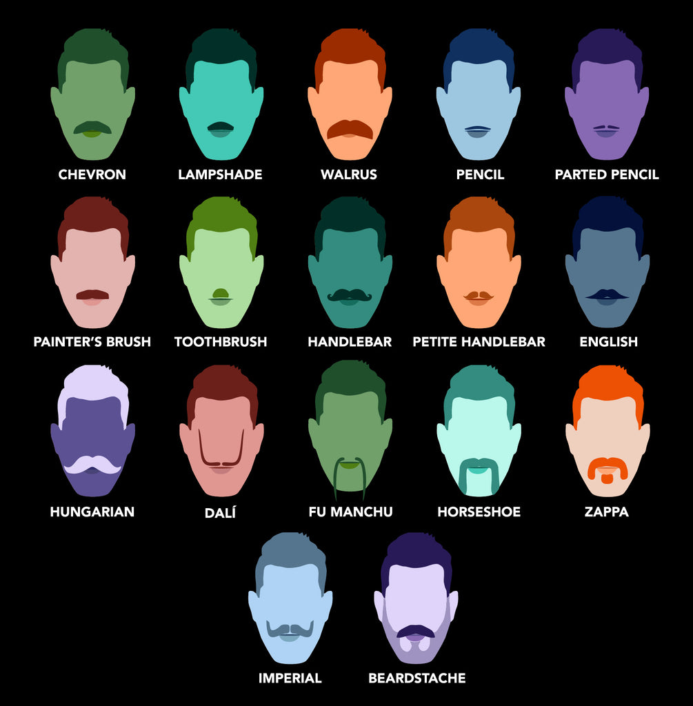 colorful diagram displaying the 17 definitive mustache styles.