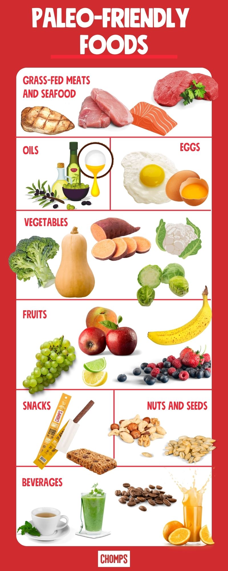 Paleo-Friendly Foods Infographic