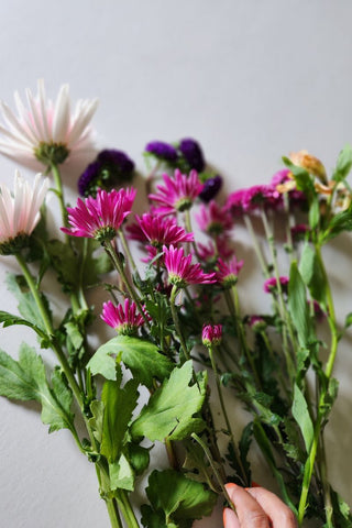 bundle of spring flowers