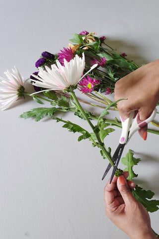 cutting flower stems to display