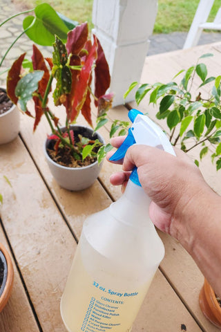 spraying leaves