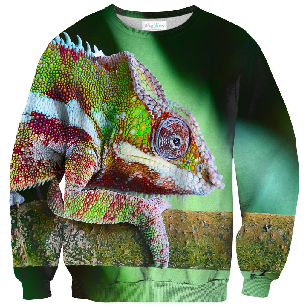 Chameleon Sweater Shelfies