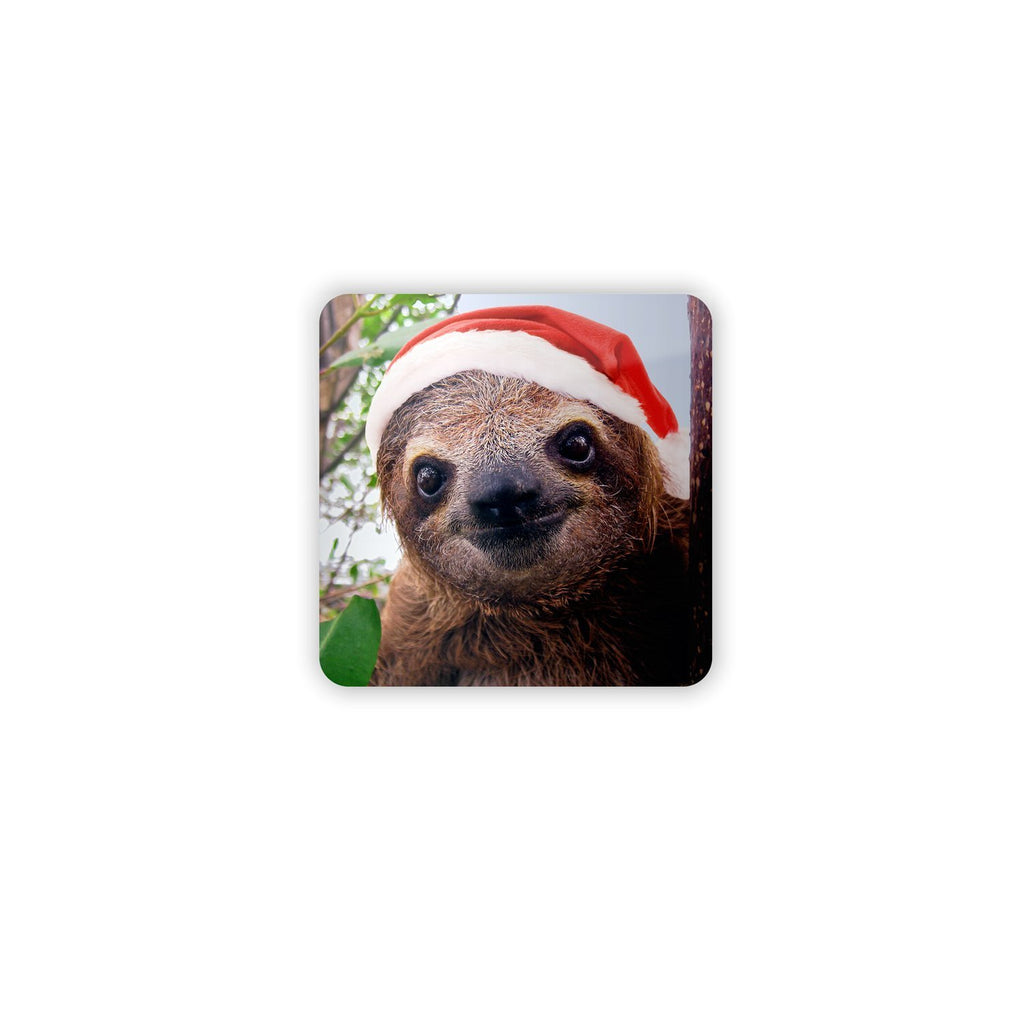 Christmas Sloth Coaster Set - Shelfies