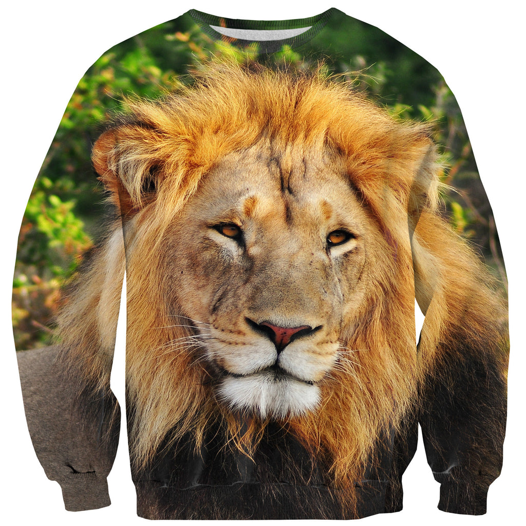Lion Face Sweater | Shelfies