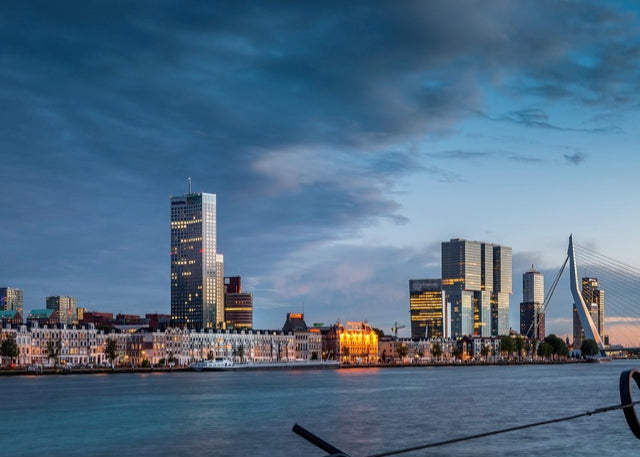 Rotterdam with Tulip Day Tours Unique Experience Holland