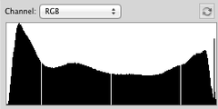 histogram for digital tintypes