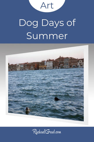 Dog Days of Summer Venice Italy Art Print by Artist Rachael Grad