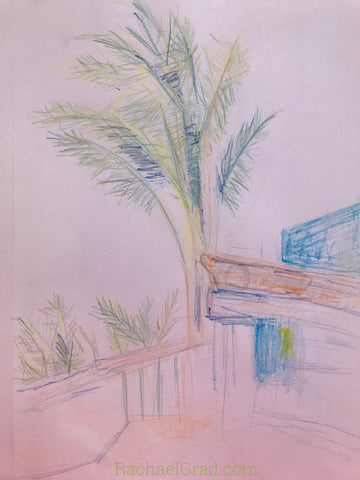 drawings in mexico Artist Rachael Grad palm trees sketches 
