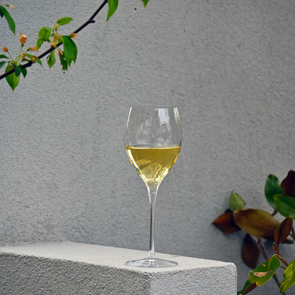 LUIGI BORMIOLI MAGNIFICO 11.75 OZ SMALL WINE GLASS