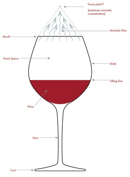 Does Glassware Affect The Taste Of Wine Find Out Luigi Bormioli