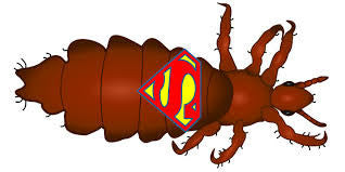 Super Lice