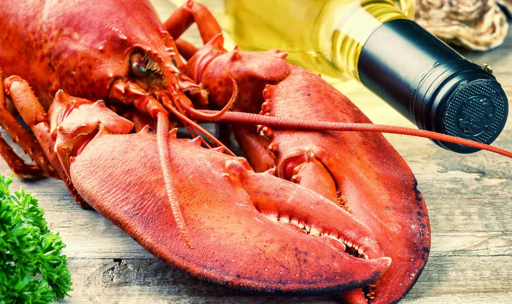 bare-biology-kids-health-fish-isn't-scary-how-to-get-your-kids-to-eat-it-lobster