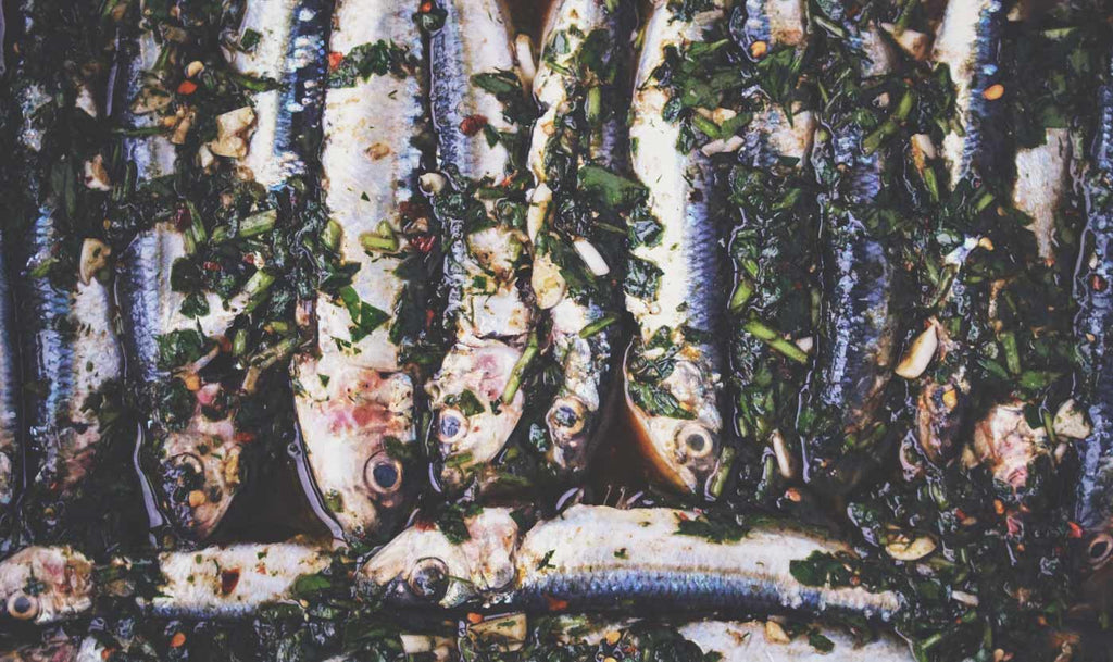 bare-biology-kids-health-fish-isn't-scary-how-to-get-your-kids-to-eat-it-sardines