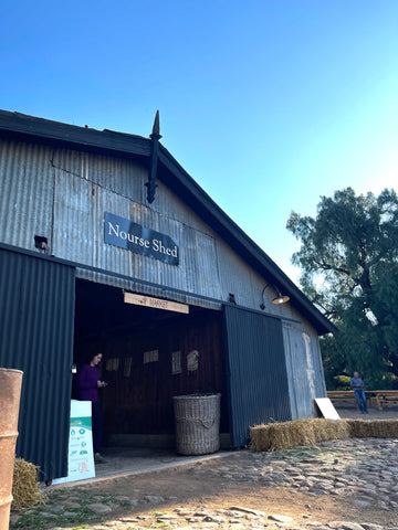 The Nourse shed, where the market part of the festival was held