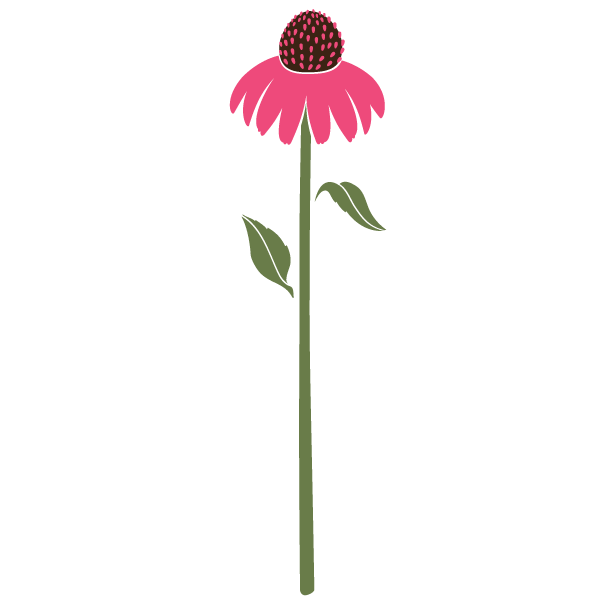 Cone Flower Stencil