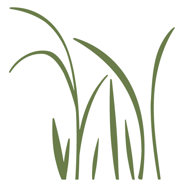 grass-stencil-5