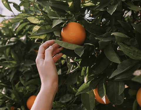 Vitamine C, que manger après les fêtes