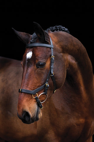 Micklem Multibridle