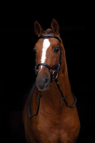 Micklem Competition Bridle