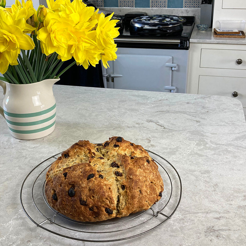 can dogs have soda bread