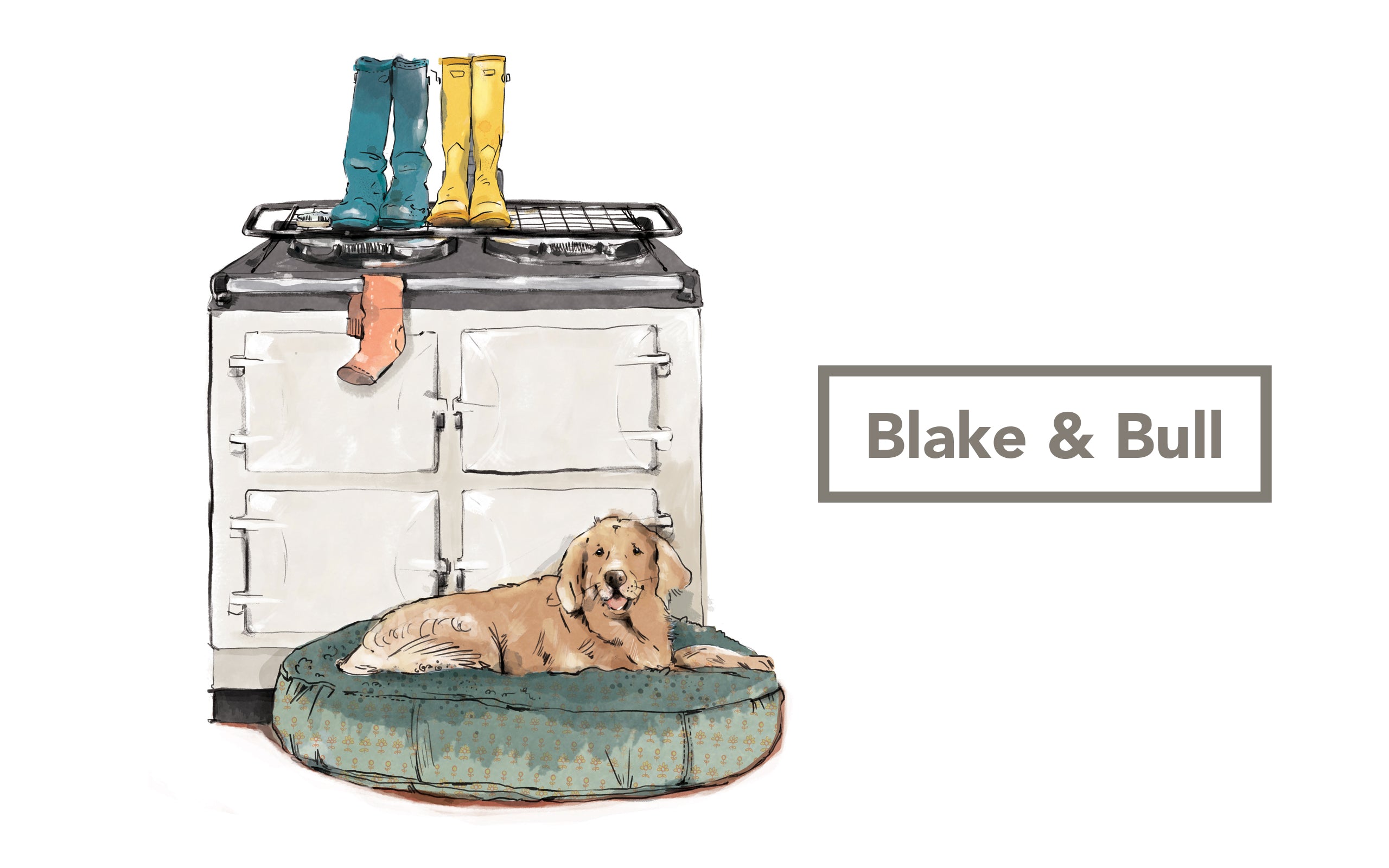 White 3 oven Aga range cooker with golden retriever lying in front and Blake & Bull logo to right.