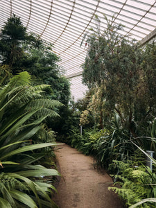 iPhone 6s - Glasgow Botanic Garden -Black & Wood