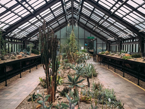 iPhone 6s - Jardin botanique de Glasgow -Black & Wood
