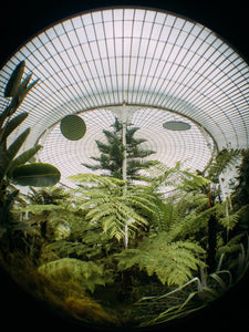 Fisheye+ iPhone 6s - Jardin botanique de Glasgow -Black & Wood